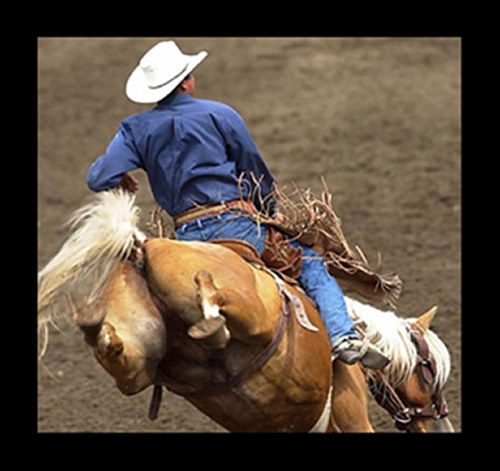 saddle bronc