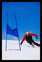 alpine skier