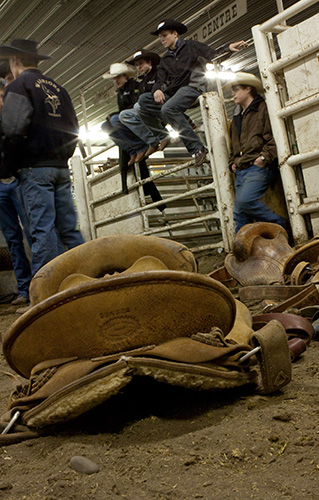 rodeo training calgery